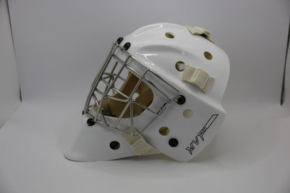 Hockey goalie's helmet